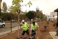 Millet Bahçesi'ne 2 Bin Ağaç Dikilecek