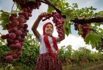 MEHMET ÇEVİK - Photo Safari'de Dereceye Giren Fotoğraflar Belli Oldu