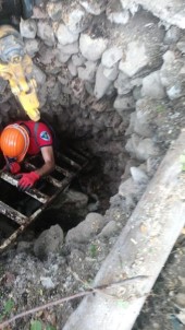 Su Kuyusuna Düşen İneği İtfaiye Ekipleri Kurtardı