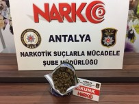 ŞEHİRLERARASI OTOBÜS - Antalya'da Torbacı Avı