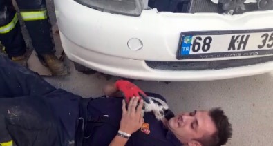 Otomobilin Motor Kısmına Sıkışan Kedi Kurtarıldı