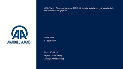 Van'da Bir Terörist Yakalandı