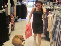 Antalya'da 35 Derecede Yüreklere Su Serpen Görüntüler