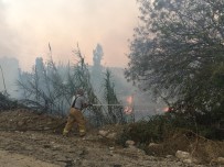 MAKİLİK ALAN - İzmir'de Makilik Alanda Çıkan Yangın Paniğe Sebep Oldu