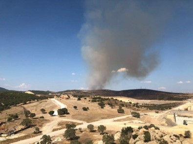 İzmir'de Orman Yangın