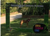 GENÇ LİDERLER - İzmir'i Temizleyen Ekibe Sevimli Köpekten Yardım