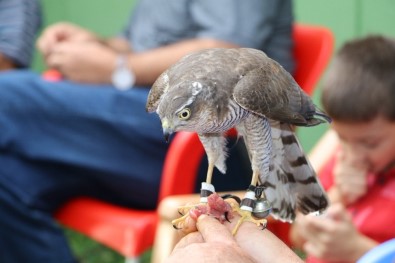 Nesilden Nesle Gelen 'Atmaca' Tutkusu