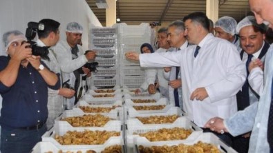 Aydın Ticaret Borsası, Bakan Pakdemirli'den İncire Destek İstedi
