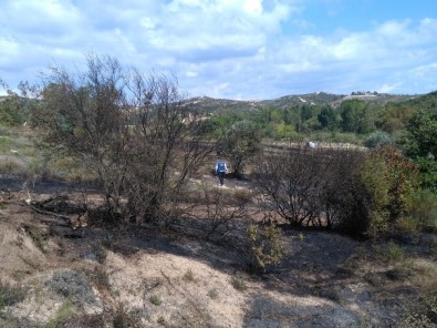 Biga'da Orman Yangını