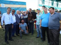 AKÇALAR - Bursa'da Rahvan At Yarışları Heyecanı