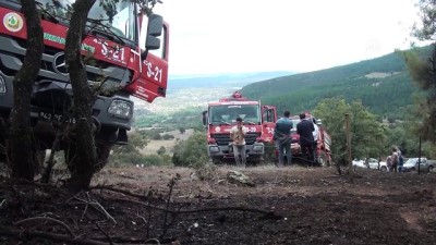 GÜNCELLEME - Kütahya'da Orman Yangını