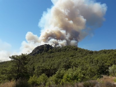 Kumluca'da ormanlık alanda yangın