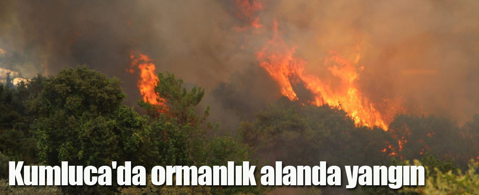 Kumluca'da ormanlık alanda yangın