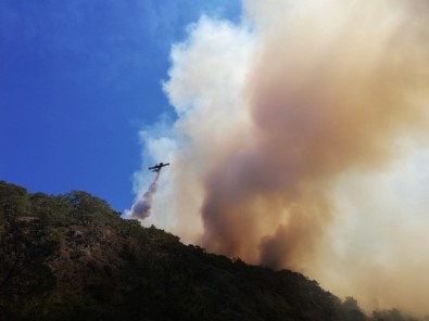 Kumluca'daki Orman Yangını