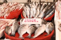 BALIK SEZONU - Balık bolluğu! Fiyatlar yarı yarıya düştü