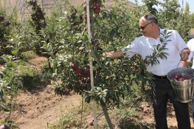 Başkan Öztürk Açıklaması 'Yahyalı'da Elma Üretimi Modernleşmeli'