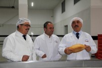 İSTANBUL HALK EKMEK - Çorum'da Halk Ekmeğine Zam Yapılmayacak