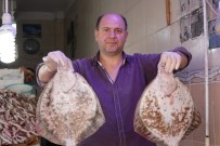 KALKAN BALIĞI - Karadeniz'de  'Palamut' Ve 'Kalkan Balığı' Bereketi