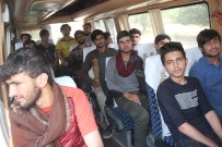 KAÇAK GÖÇMEN - 49 Kaçak Göçmen Yakalandı