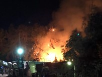Alanya'da Devrilen Çam Ağaçları Yangına Sebep Oldu