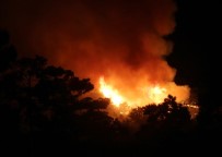 Antalya'da  Orman Yangını Devam Ediyor
