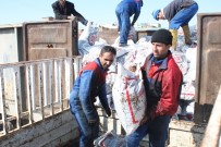 KÖMÜR YARDIMI - Batman'da 22 Bin 666 Aileye Kömür Dağıtılacak