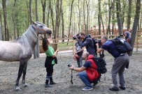 20 KASıM - Fotoğraf Tutkunları Kocaeli'de Buluştu