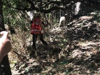 KOMANDO - Sedanur'u Arama Çalışmaları Sürüyor