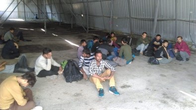 Van'da 48 Kaçak Göçmen Yakalandı