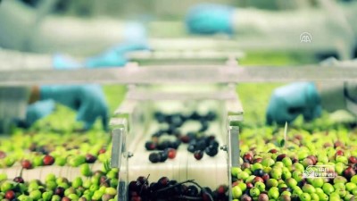 Yerli Üretim Logosu Tanıtıldı