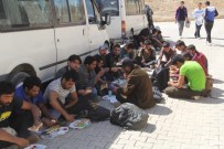 75 Kaçak Göçmen Yakalandı
