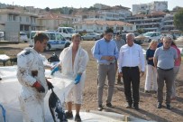 SERKAN ACAR - Başkan Acar'dan Foça'ya Destek