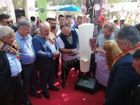 ÖMER LÜTFİ YARAN - Ereğli'de Bekdik Şenliği