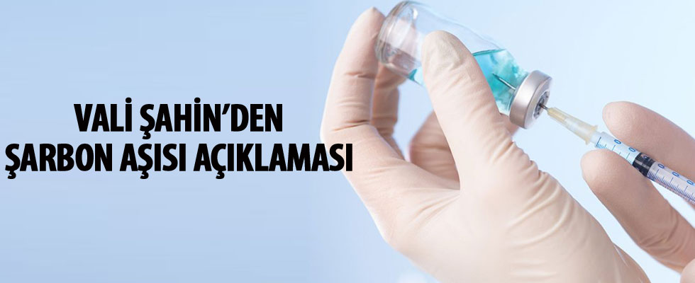 İstanbul Valisi Vasip Şahin: Şarbon aşılaması 5 yıl devam edecek