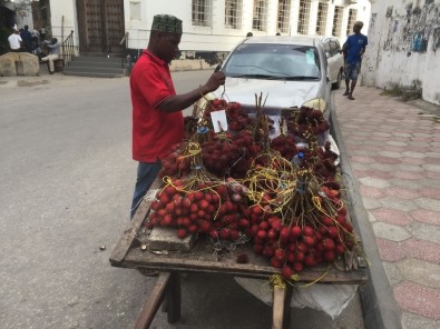 Tanzanya'nın Asil Meyvesi Açıklaması 'Rambutan'