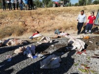 KAYACıK - Tarım İşçilerini Taşıyan Kamyonet Minibüsle Çarpıştı Açıklaması 5 Ölü, 23 Yaralı