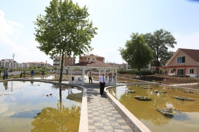 Türkiye'nin İlk Ve Tek Nilüfer Sanat Parkı Bolu'da Açılıyor