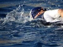 CARETTA CARETTA - Caretta Carettalar İçin 15 Kilometre Kulaç Attı