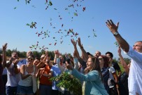 DERYA BAKBAK - Gastronomi Festivali Biber Hasadı İle Başladı