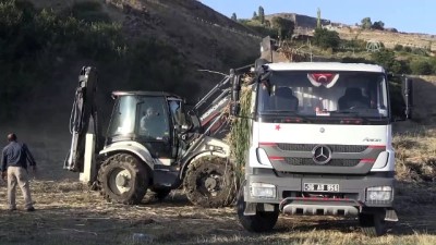 Kayıp Sedanur'un Köyündeki Sazlık Alan Tekrar Arandı