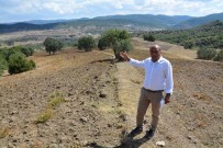 ORMANA - Köylüler Tarım Arazilerini Geri İstiyor