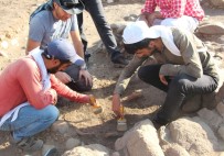 Bingöl'de Kültür Varlıkları Baraj Suyu Altında Kalmaktan Kurtarılıyor