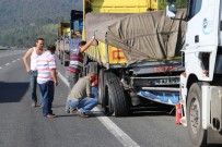 Kamyona Giren Arı Kaza Yaptırdı Haberi