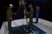 GıRGıR - Karadenizli Balıkçıların Gece Mesaisi