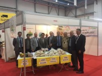 MHP İl Başkanı Karataş Açıklaması 'Ülkemizde Tarımsal Faaliyetler Ekonomi İçinde Şüphesiz Önemli Bir Pay Oluşturmaktadır'