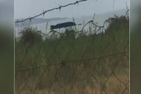 Tanzanya'da Feribot Alabora Oldu Açıklaması 44 Ölü, 200 Kayıp