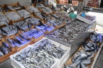 BARBUNYA - Tezgahlar balık çeşitleriyle doldu
