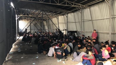 Van'da 301 Kaçak Göçmen Yakalandı