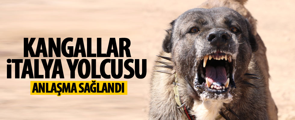 İtalyanlar ile ilk anlaşma sağlandı