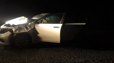 Otomobil Aniden Yola Çıkan İneğe Çarptı Açıklaması 4 Yaralı